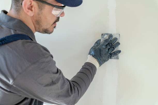 Best Stucco Painting  in West Melbourne, FL